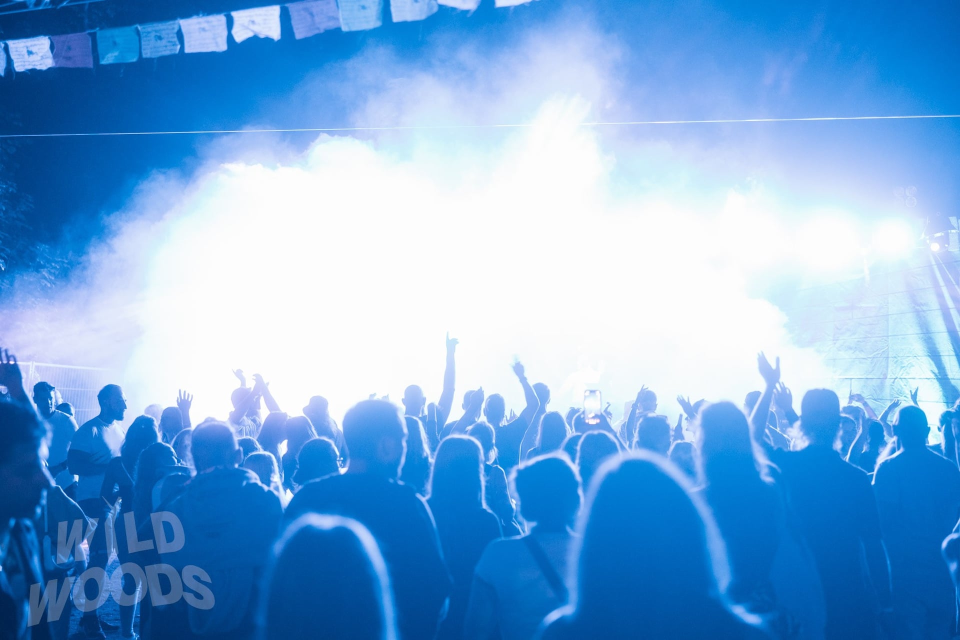 Wild Woods Crowd Stage